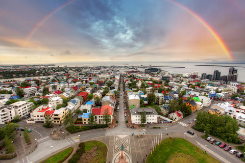 Reykjavik: stadswandeling