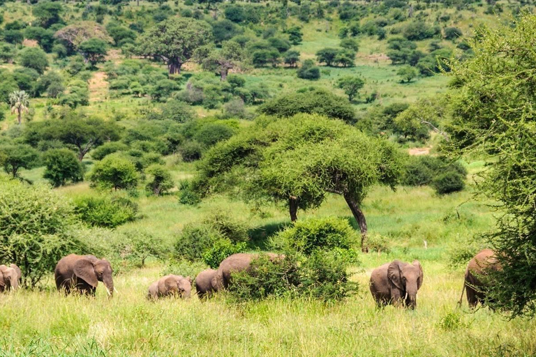 Safari di 3 giorni Il meglio della Tanzania Offerta Stagione Verde