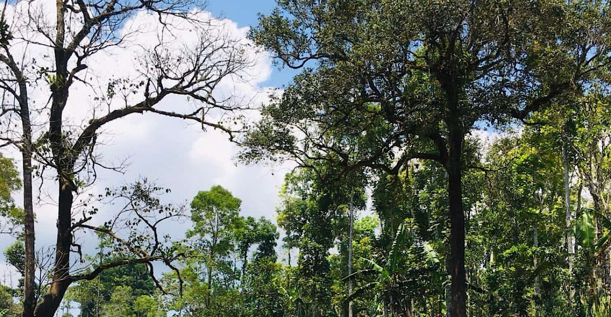 Munduk, divertida aventura en bicicleta cuádruple con cascada natural - Housity