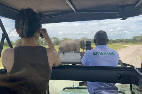 Safári de 5 dias em Tarangire, Serengeti e Ngorongoro