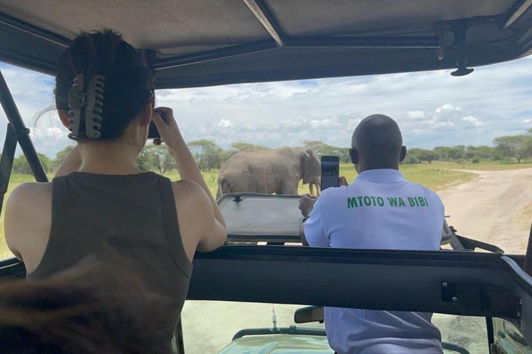 Safári de 5 dias em Tarangire, Serengeti e Ngorongoro