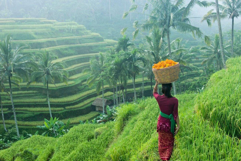 Bali: Secret and Untouristic Tour North West Bali.