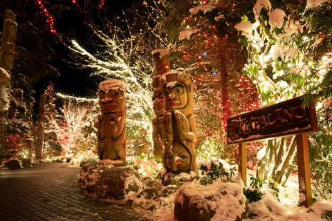 Capilano Suspension Bridge Canyon Lights Holiday Tour