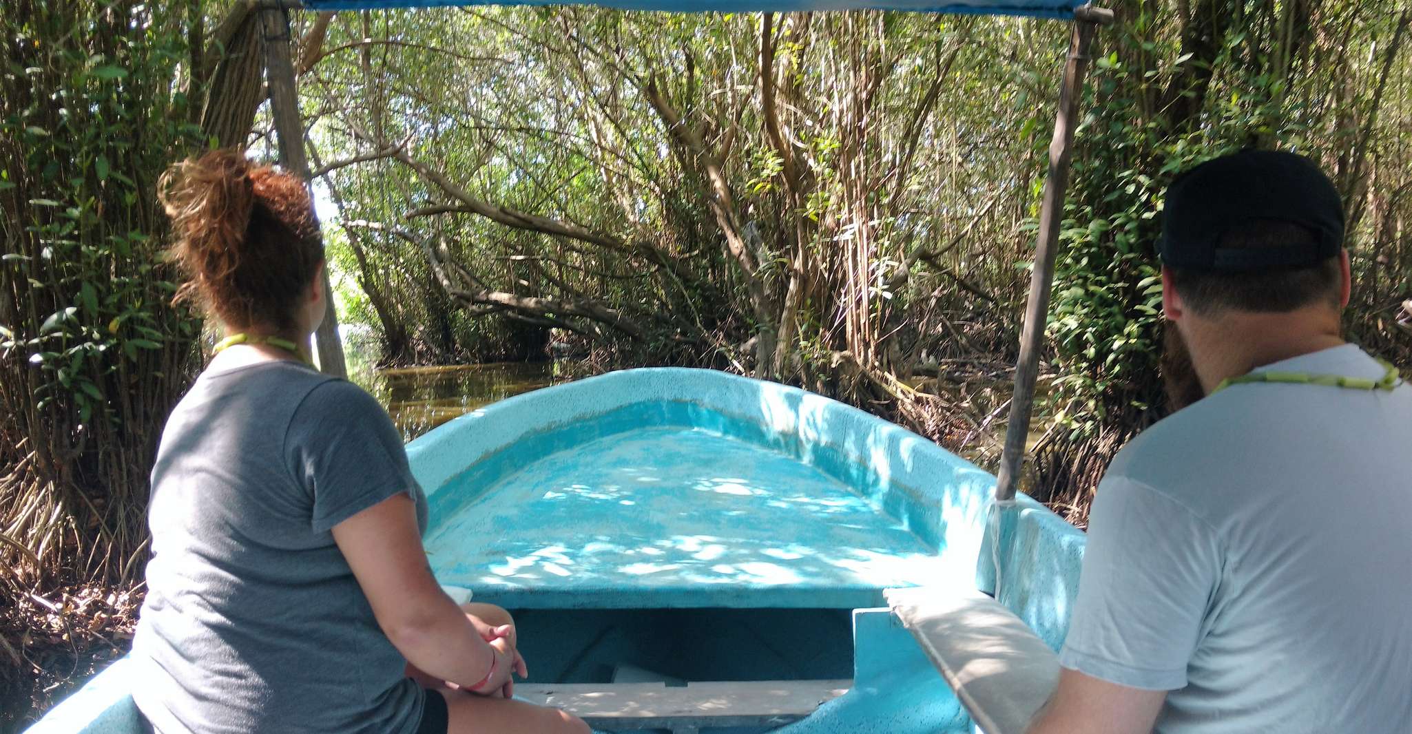 .Baby Turtle Release, Lagoon Boat Ride und Crocodile Farm - Hizvo