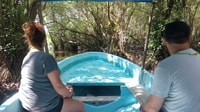 . Baby Turtle Release, Lagoon Boat Ride, e Crocodile Farm - Hizvo