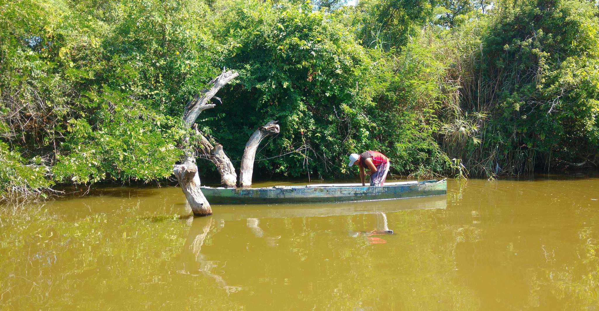 .Baby Turtle Release, Lagoon Boat Ride und Crocodile Farm - Hizvo