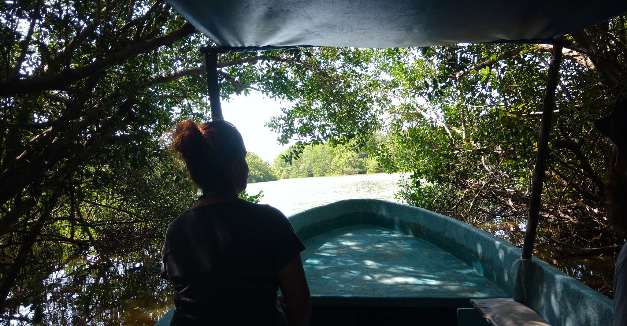 .El lanzamiento de la tortuga bebé, Lagoon Boat Ride, y Crocodile Farm - Hizvo