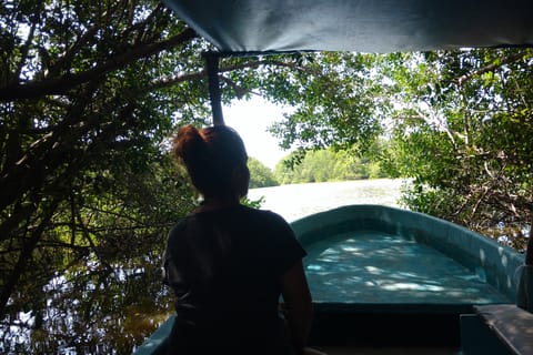 .Baby Turtle Release, Lagoon Boat Ride, and Crocodile Farm