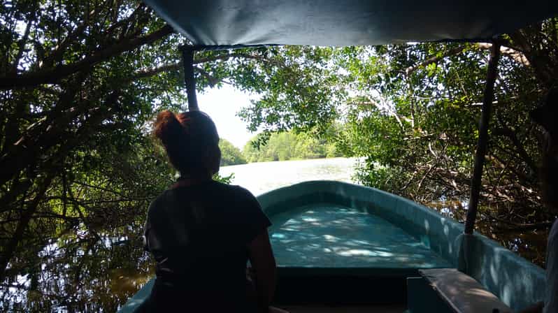 .Baby Turtle Release, Lagoon Boat Ride, and Crocodile Farm