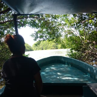 Baby Turtle Release, Lagoon Boat Ride, and Crocodile Farm