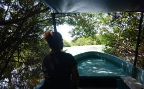 .Baby Turtle Release, Lagoon Boat Ride, and Crocodile Farm