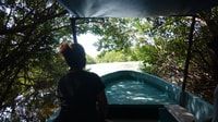 . Baby Turtle Release, Lagoon Boat Ride, e Crocodile Farm - Hizvo