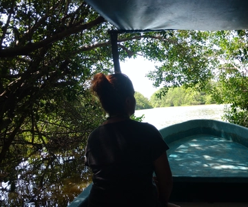 .Baby Turtle Release, Lagoon Boat Ride, and Crocodile Farm