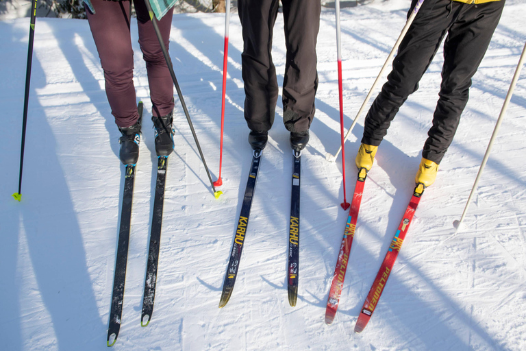 Lapland Levi: Cross-country Skiing for Beginners