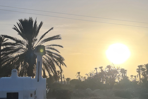 正宗杰尔巴：日落马车之旅和东方小吃正宗杰尔巴岛：日落马车之旅和免费东方小吃