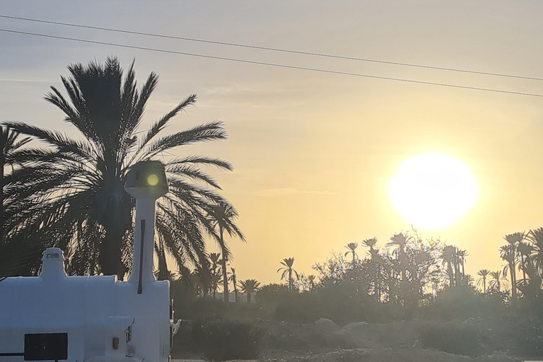 正宗杰尔巴：日落马车之旅和东方小吃正宗杰尔巴岛：日落马车之旅和免费东方小吃