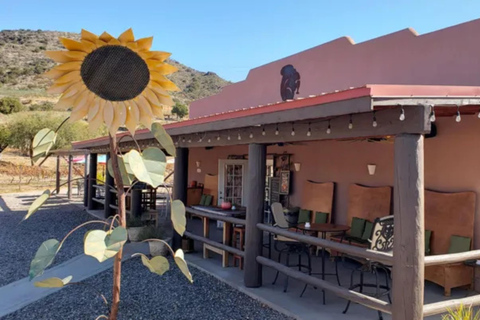 From Phoenix: Vortex to Vineyard Shared Tour Private Group 1-5