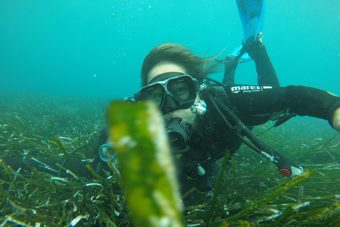 Santorini: Experiencia de submarinismo en la Caldera VolcánicaBuceo