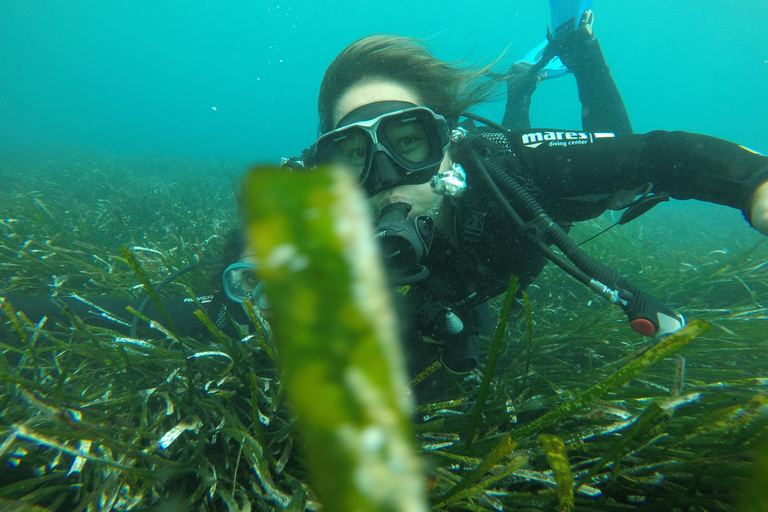 Santorini: Experiencia de submarinismo en la Caldera VolcánicaBuceo