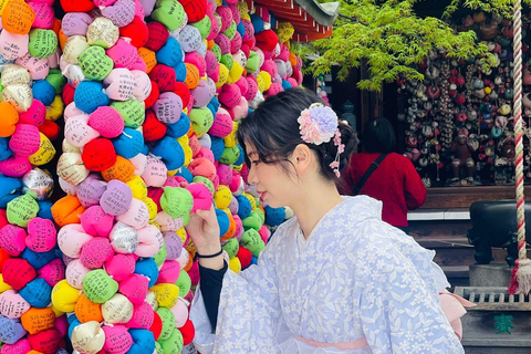 Osaka/Kyoto/Nara: Privat skräddarsydd rundtur på engelskaOsaka/Kyoto/Nara: Privat anpassad rundtur på engelska