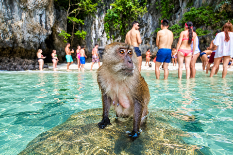 Phuket: Phi Phi & Maya Bay Day Trip + Park Fee & Lunch