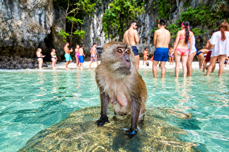 Phuket: Phi Phi & Maya Bay Day Trip + Park Fee & Lunch