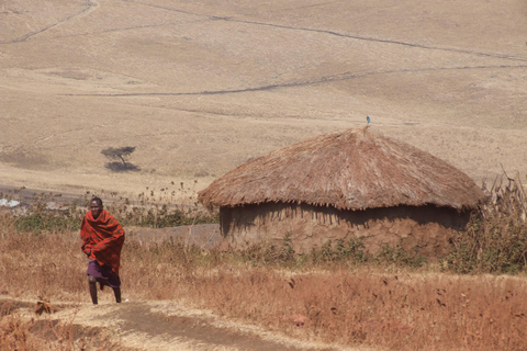 Masai Village Visit From Nairobi Day Tour