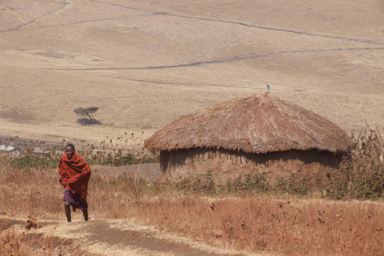 Visite du village Masai depuis Nairobi (journée)