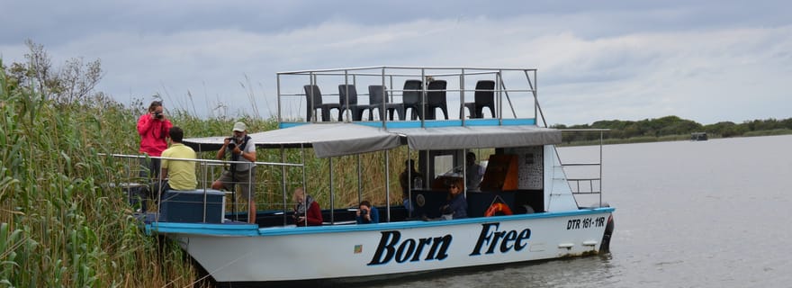 Depuis Durban : promenade en bateau dans les zones humides de Sainte-Lucie