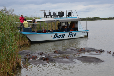 From Durban: St. Lucia Wetlands Boat Ride