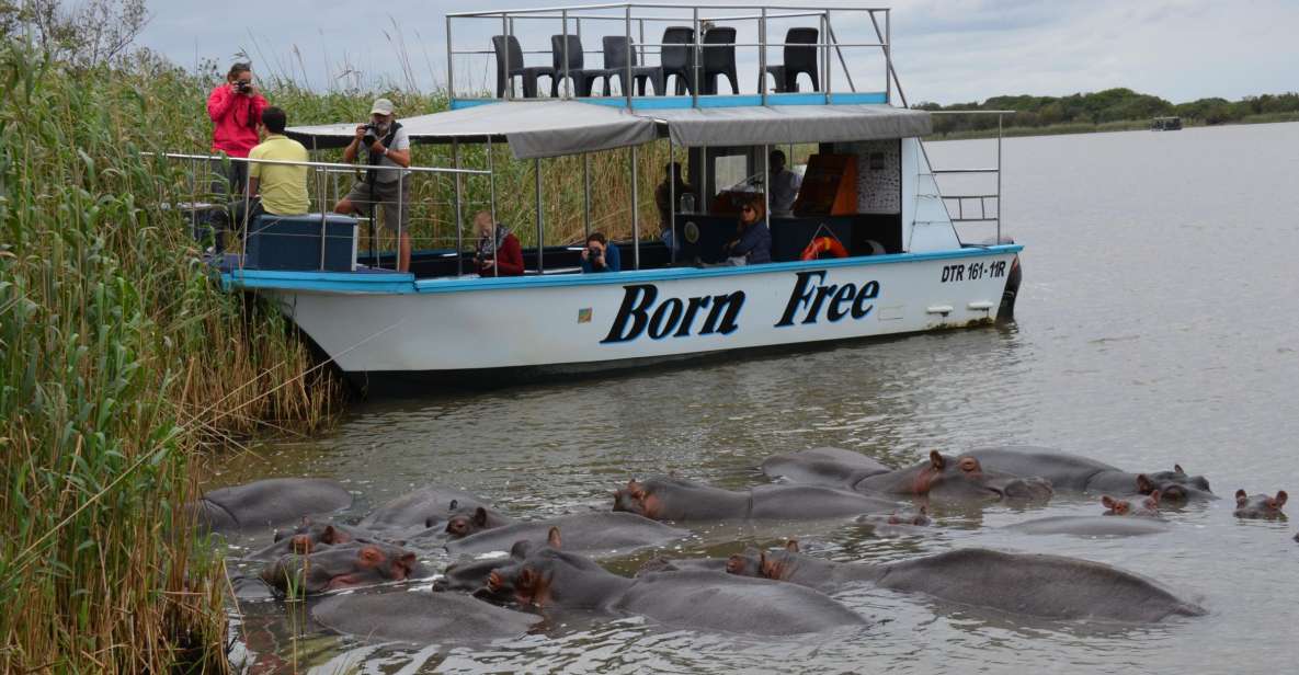 From Durban: St. Lucia Wetlands Boat Ride