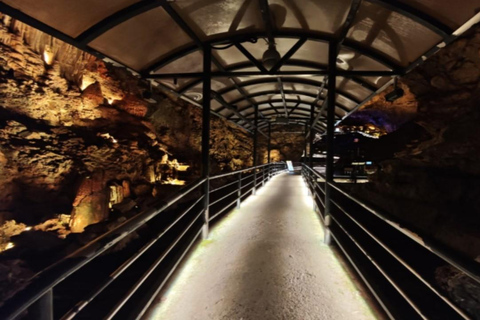 Nanjing: Ape Man Cave Entry Ticket Ape Man Cave Entry Ticket+English-Speaking Guide