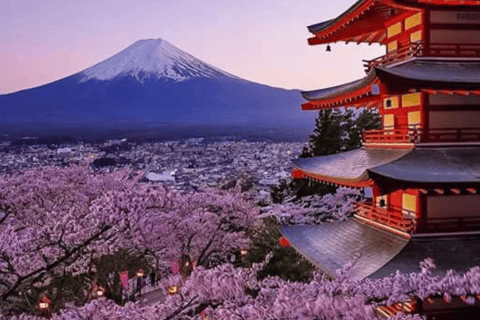 From Tokyo: Mount Fuji Full Day Customizable Private Tour
