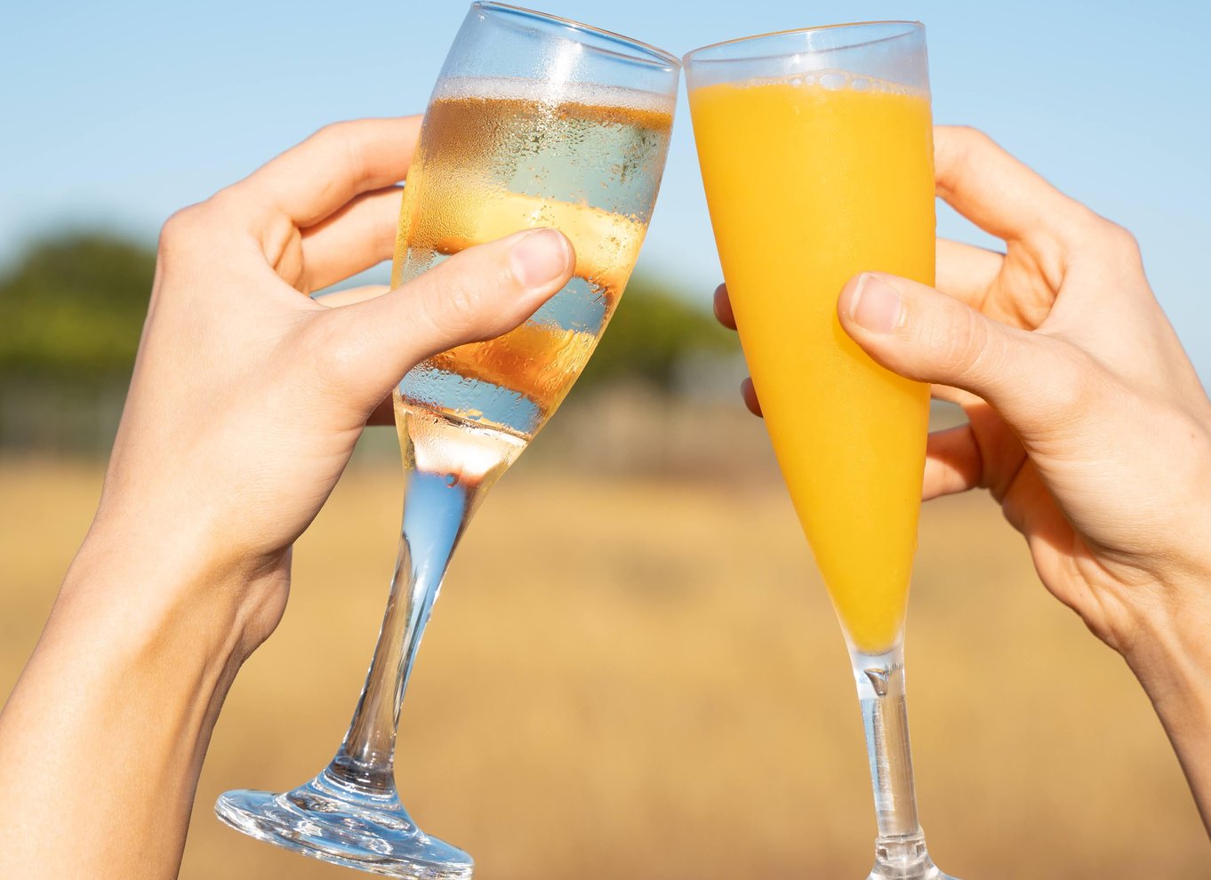 Cairns: Varmluftsballonflyvning med transport