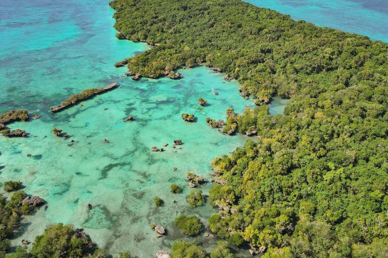 Zanzibar: Safari Blue Snorkling och Sandbank