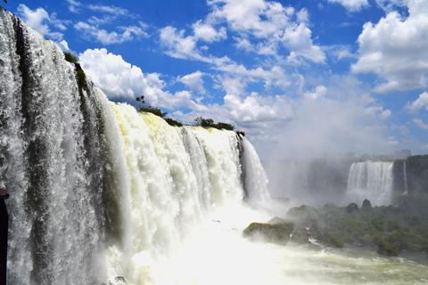 Private Premium Experience – Brazil Side of Iguazu Falls & Bird Park Premium Private Experience – Iguazu Falls Brazil & Bird Park