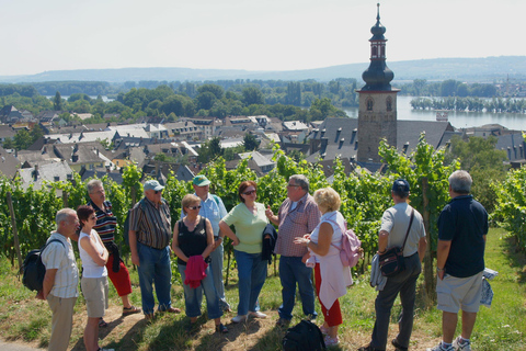 Rüdesheim am Rhein: city tour
