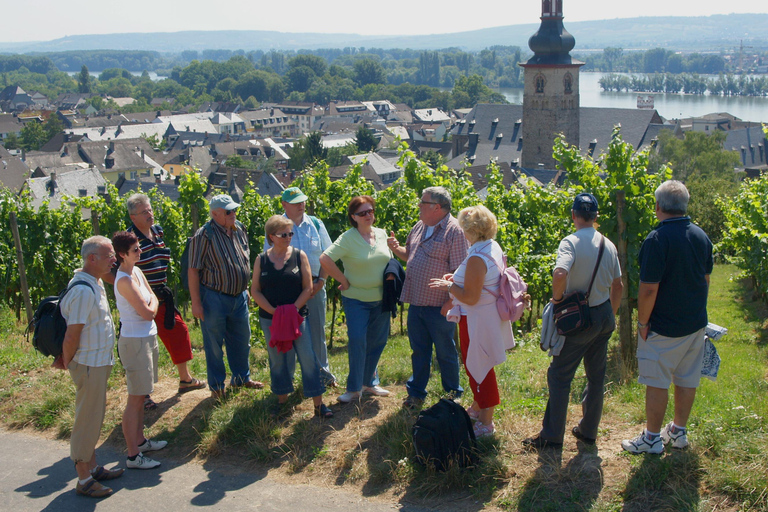 Rüdesheim am Rhein: city tour