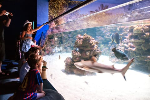 Majorque : billet pour l'aquarium de Palma