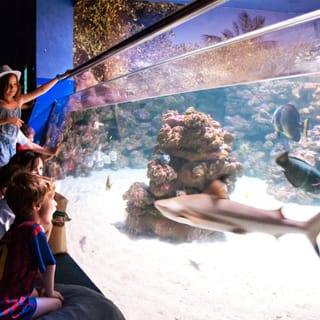 Palma Aquarium, Palma de Mallorca - Book Tickets & Tours | GetYourGuide