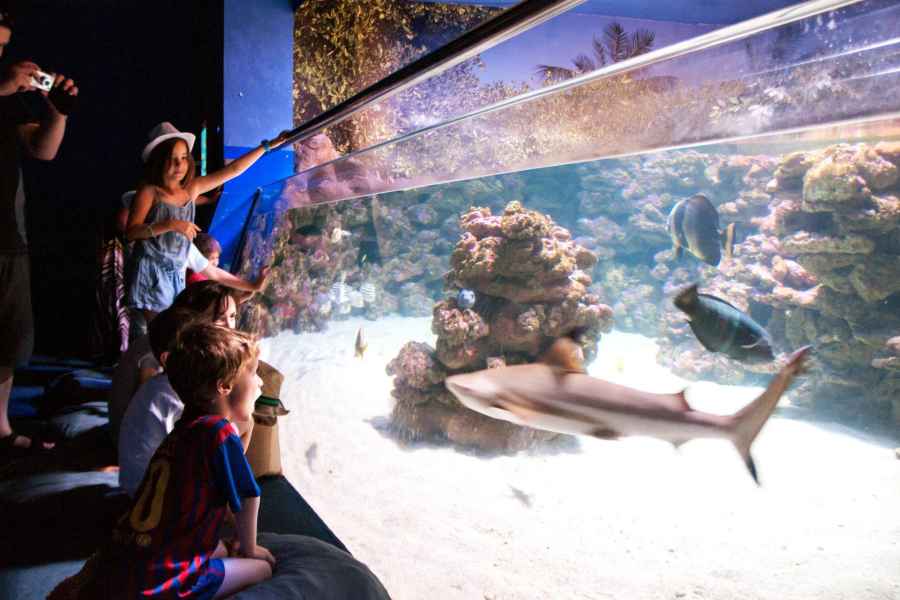 Mallorca: Ticket für das Palma Aquarium