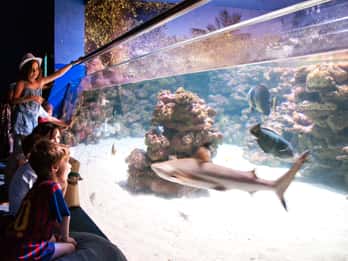 Mallorca: Palma Aquarium Ticket Mallorca: Palma Aquarium Ticket