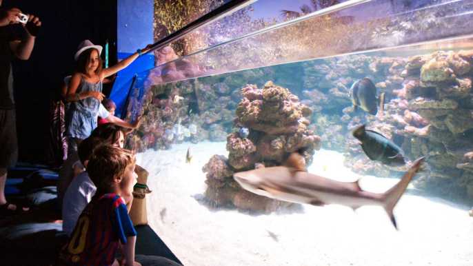 Mallorca: ticket a Palma Aquarium