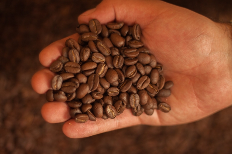 Depuis Bogota : L'expérience d'une plantation de café