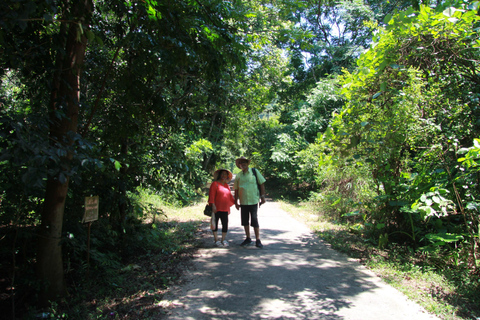 Half Day Hiking to Cat Ba National Park with a Guide