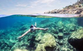 Snorkeling in The Red Sea With Equipment And Free Transfer