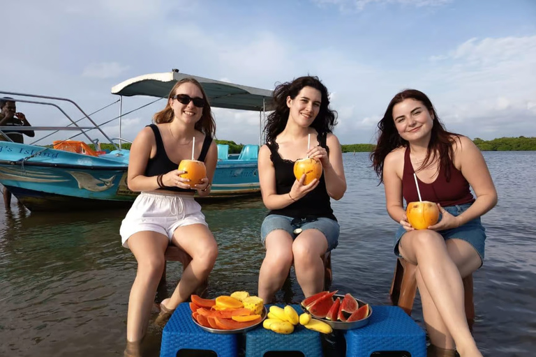 Hamilton Canal Boat Sapari & Negombo Mangrove Sightseeing