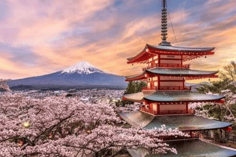 Mount Fuji Full Day Private Customizable Tour with Guide