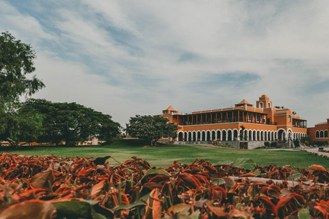 Private tour to Ballestas Islands, Hacienda Caravedo, and sunset in Huacachina