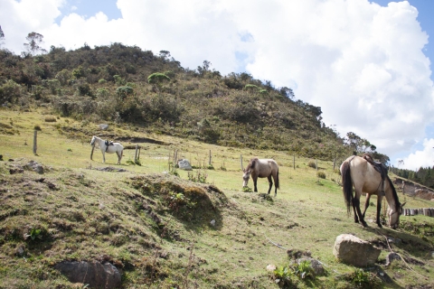 Bogota: Jazda konnaWycieczka konna bez przewodnika